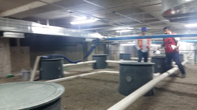 Instalación en campo